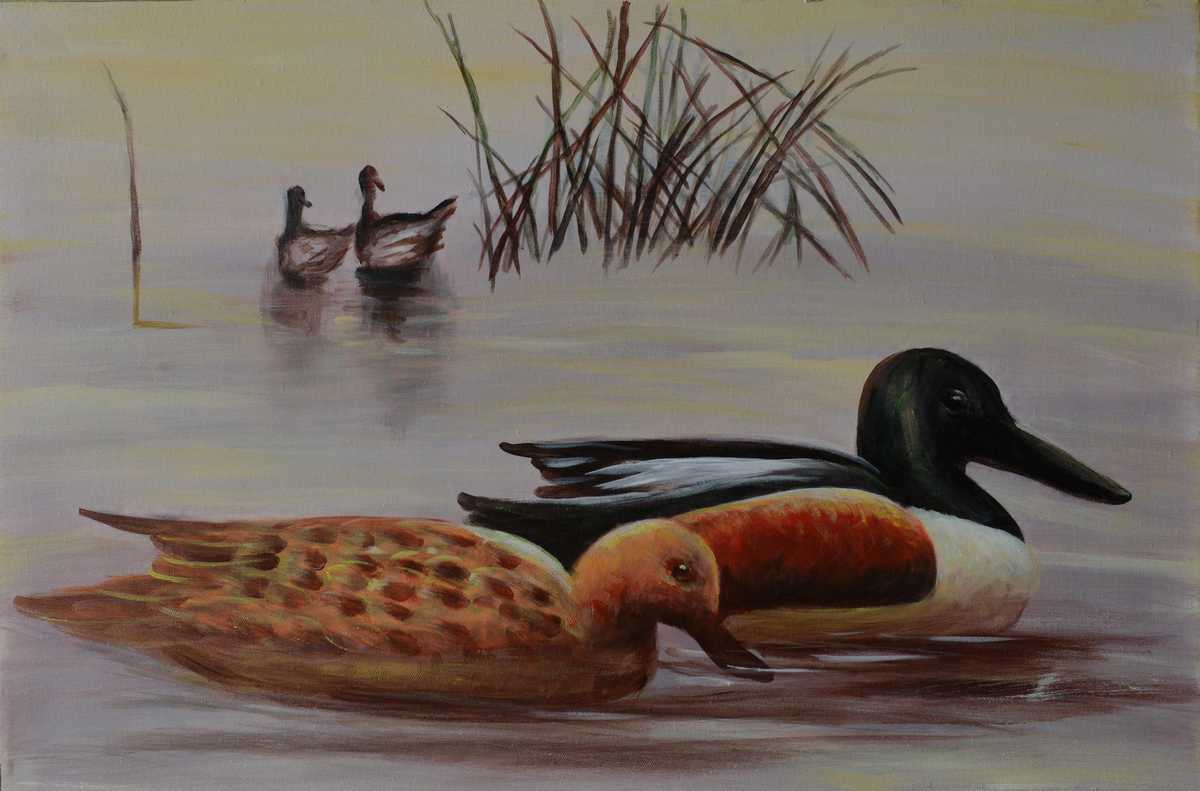 Handgemaltes Ölgemälde (Tiere) - "Ducks in Lake"