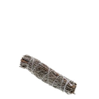 Wüstenbeifussbündel klein (Artemisia tridentata)