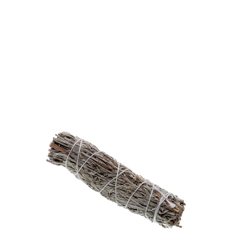 Wüstenbeifussbündel klein (Artemisia tridentata)