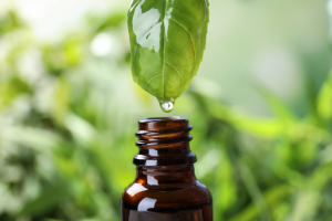 Basilikumöl für die Aromatherapie Basilikumöl für die Aromatherapie