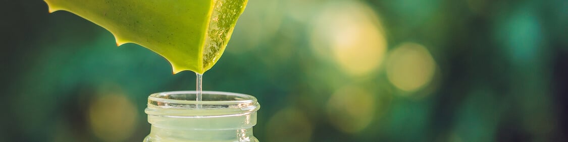 Aloe Vera als natürliche Zutat für die Naturkosmetik